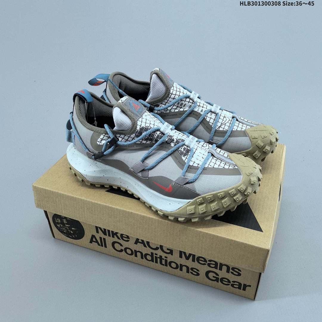 Nike ACG Mountain Fly Low GTX SE GORE-TEX